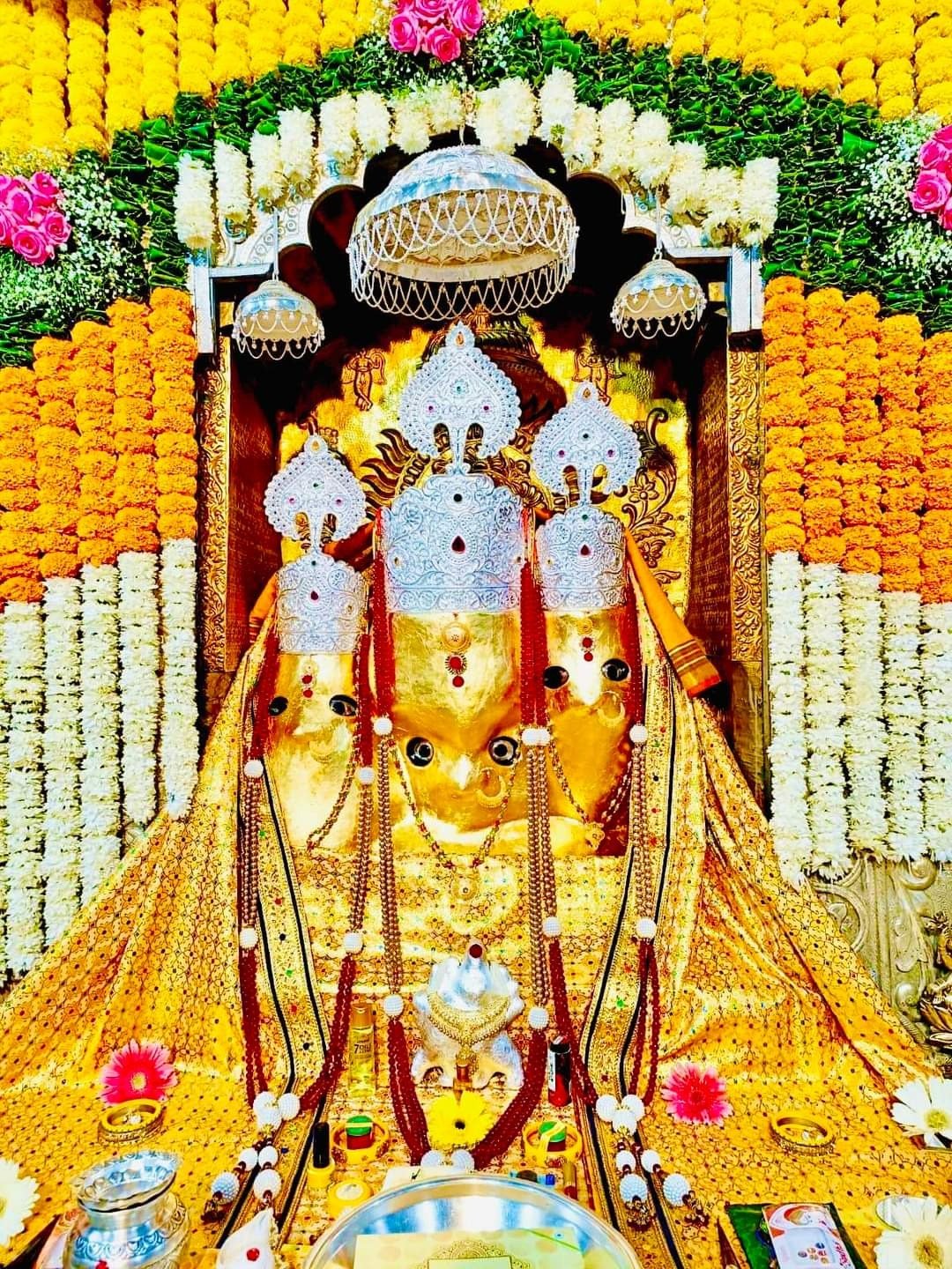 Bagalamukhi Shatru Nashak Havan - Sacred Vedic fire ritual with mantras