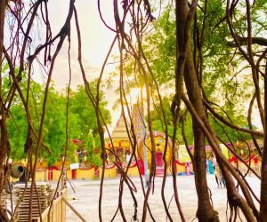 Maa Bagalamukhi Mandir Gallery